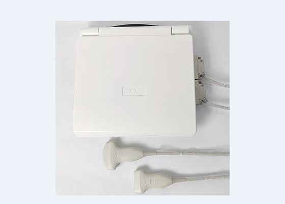 Portable Handheld Ultrasound Scanner Handheld Bladder 5 Kinds Of Probes Available